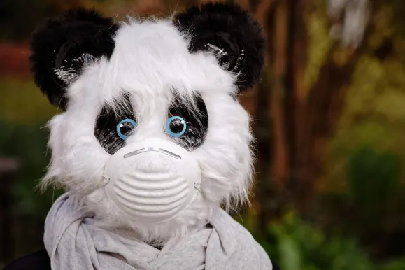 Bet9 Casino Assistance